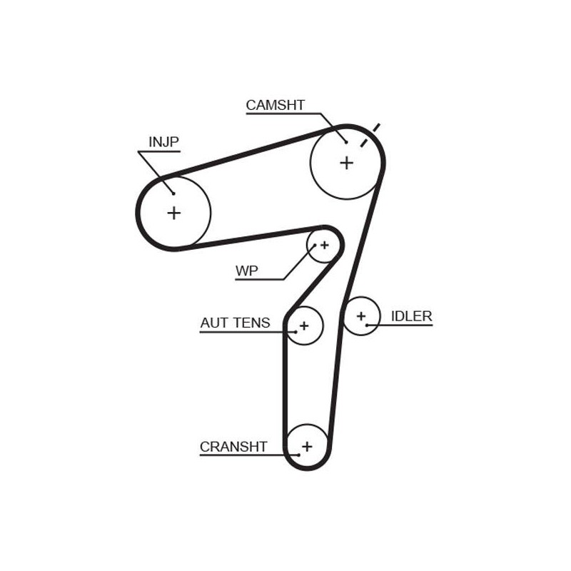 COURROIE DISTRIBUTION