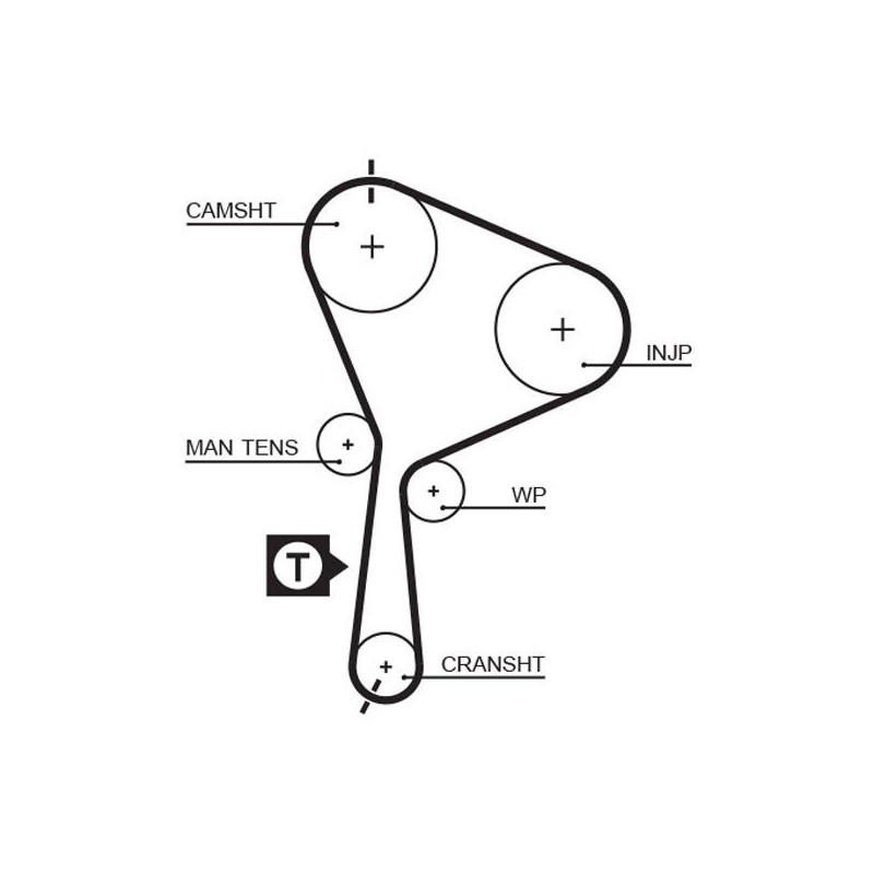 COURROIE DISTRIBUTION