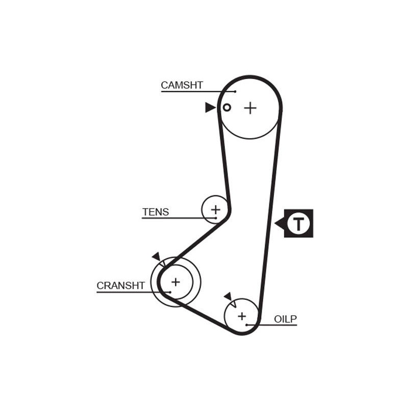 COURROIE DISTRIBUTION