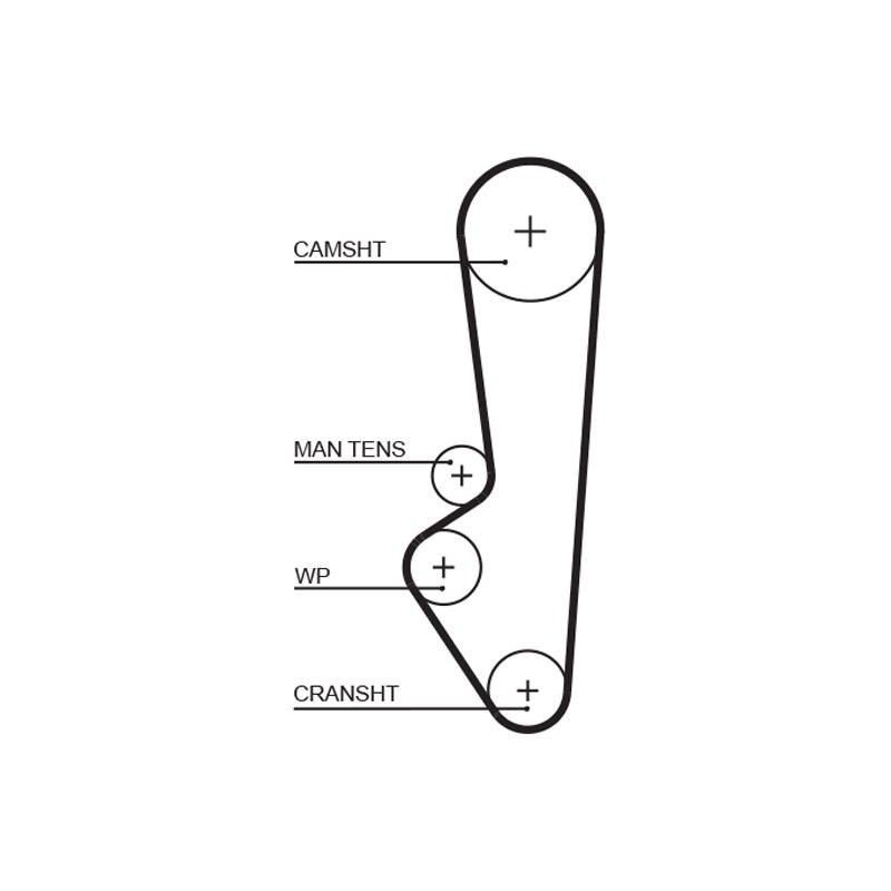 COURROIE DISTRIBUTION