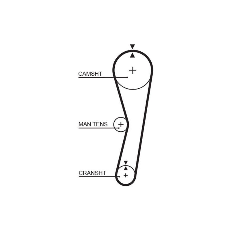 COURROIE DISTRIBUTION