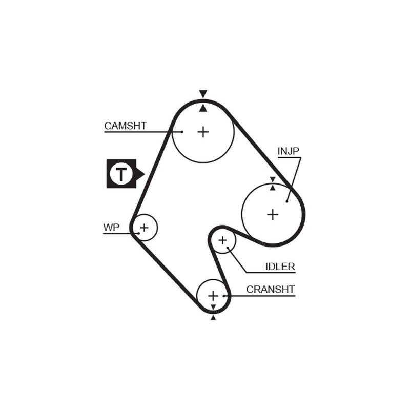 COURROIE DISTRIBUTION