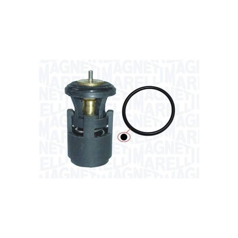 THERMOSTAT POUR VW POLO