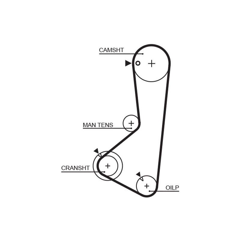 COURROIE DISTRIBUTION