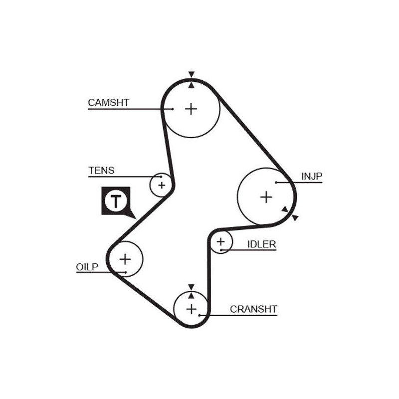 COURROIE DISTRIBUTION