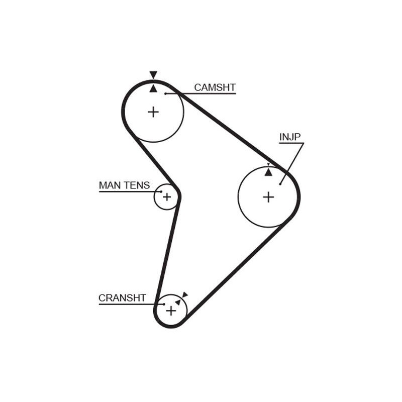 COURROIE DISTRIBUTION