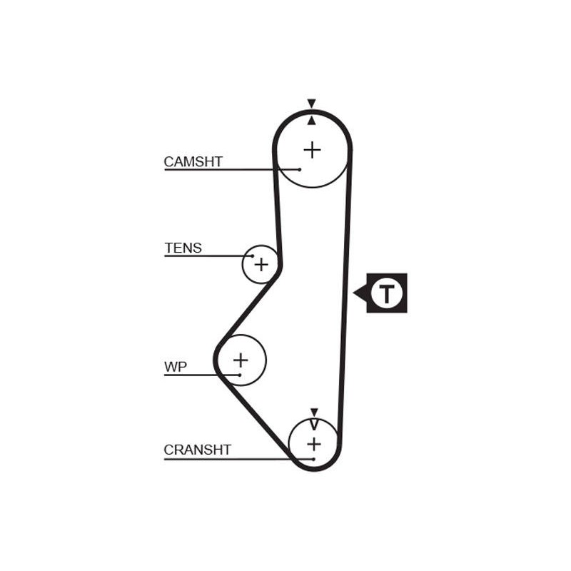 COURROIE DISTRIBUTION