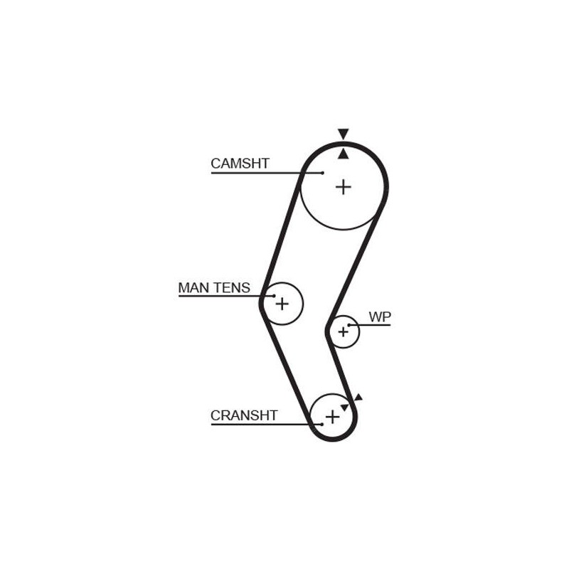 COURROIE DISTRIBUTION