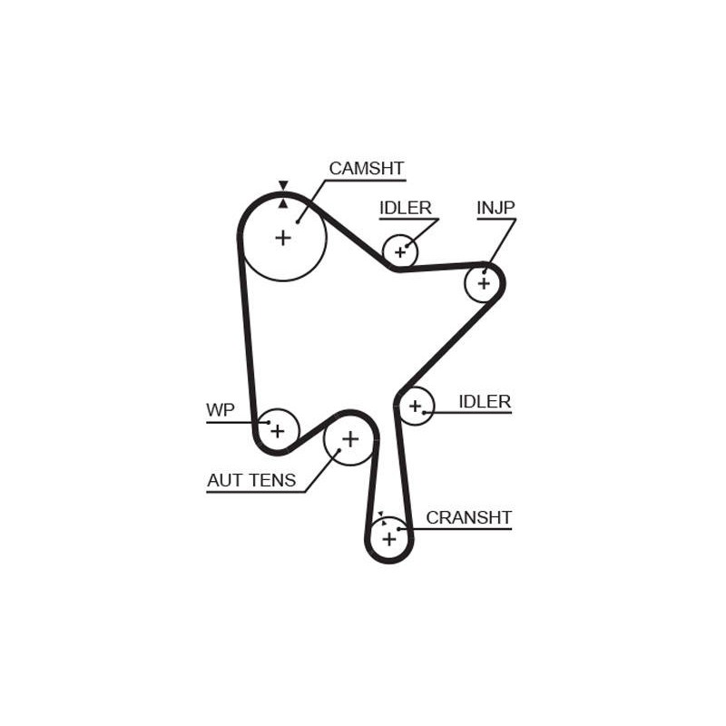 COURROIE DISTRIBUTION