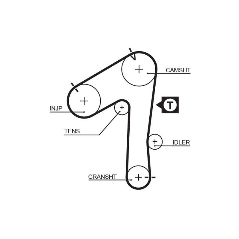 COURROIE DISTRIBUTION