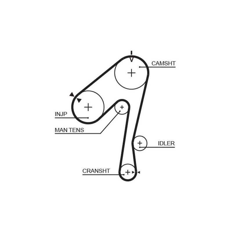 COURROIE DISTRIBUTION