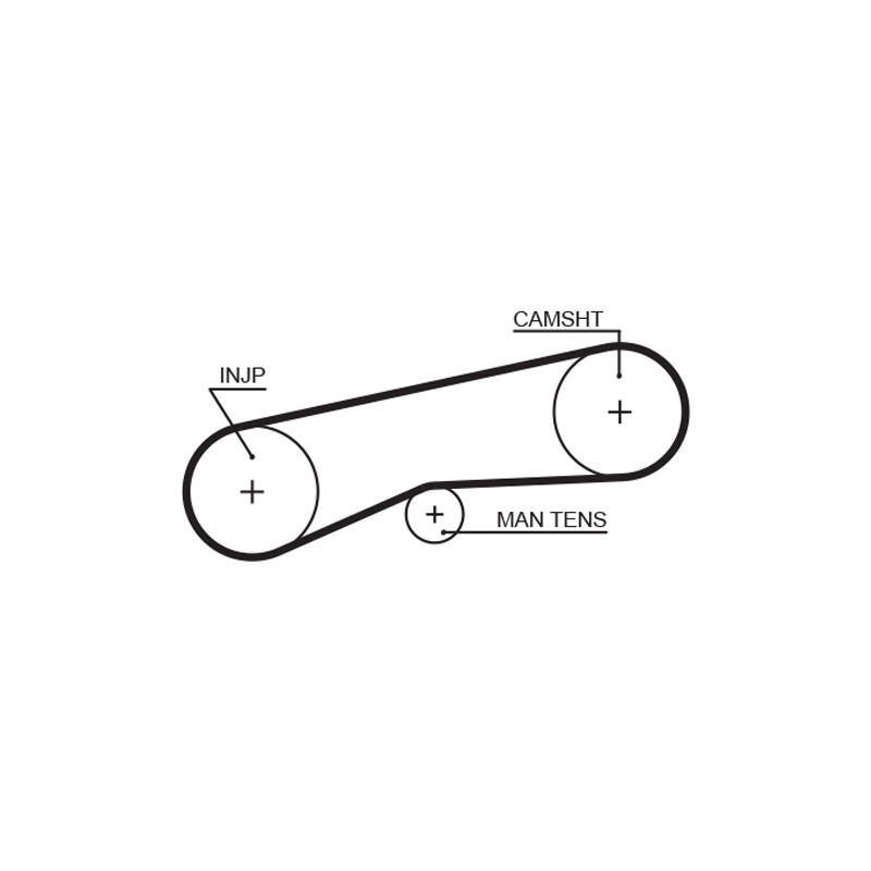 COURROIE DISTRIBUTION