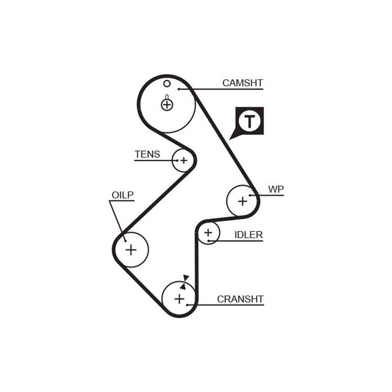 COURROIE DISTRIBUTION