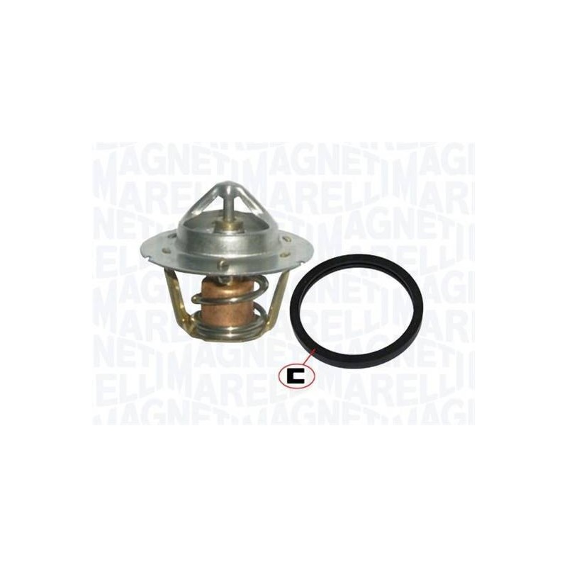 THERMOSTAT POUR MINI R50/R53