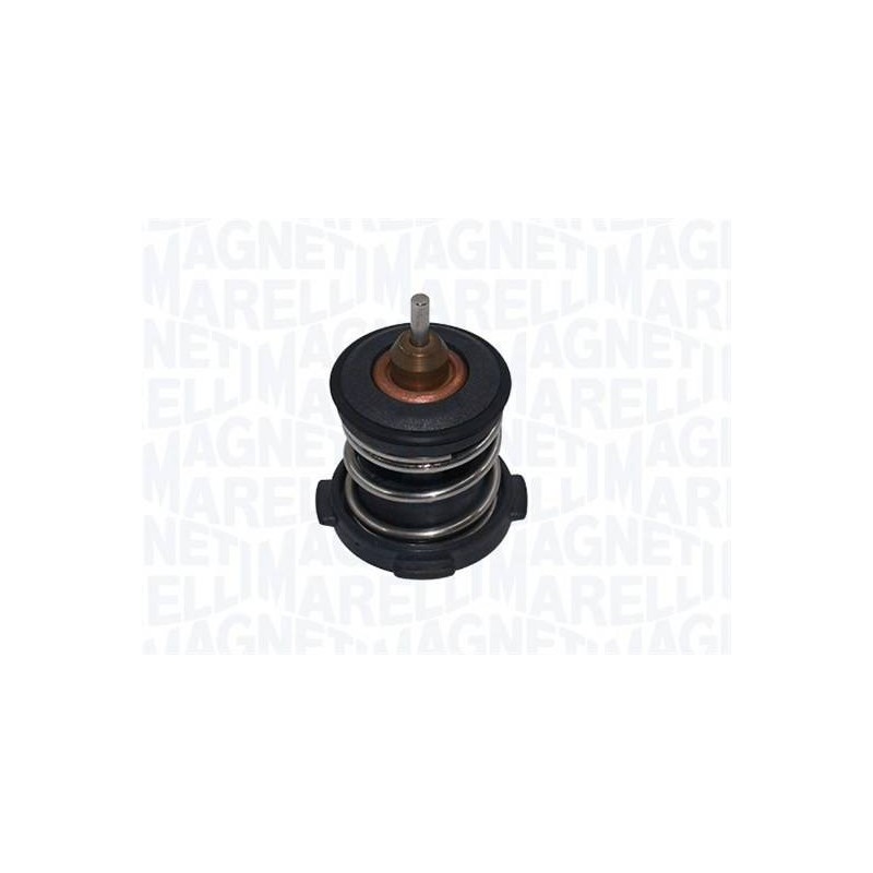 THERMOSTAT POUR VW POLO V 6R1/6C1