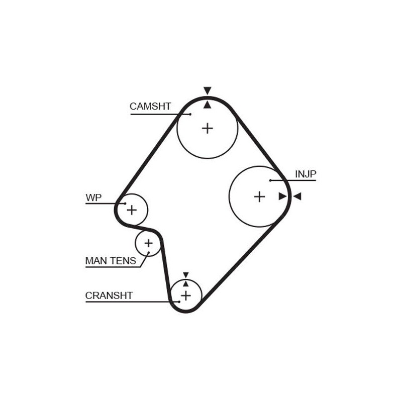 COURROIE DISTRIBUTION