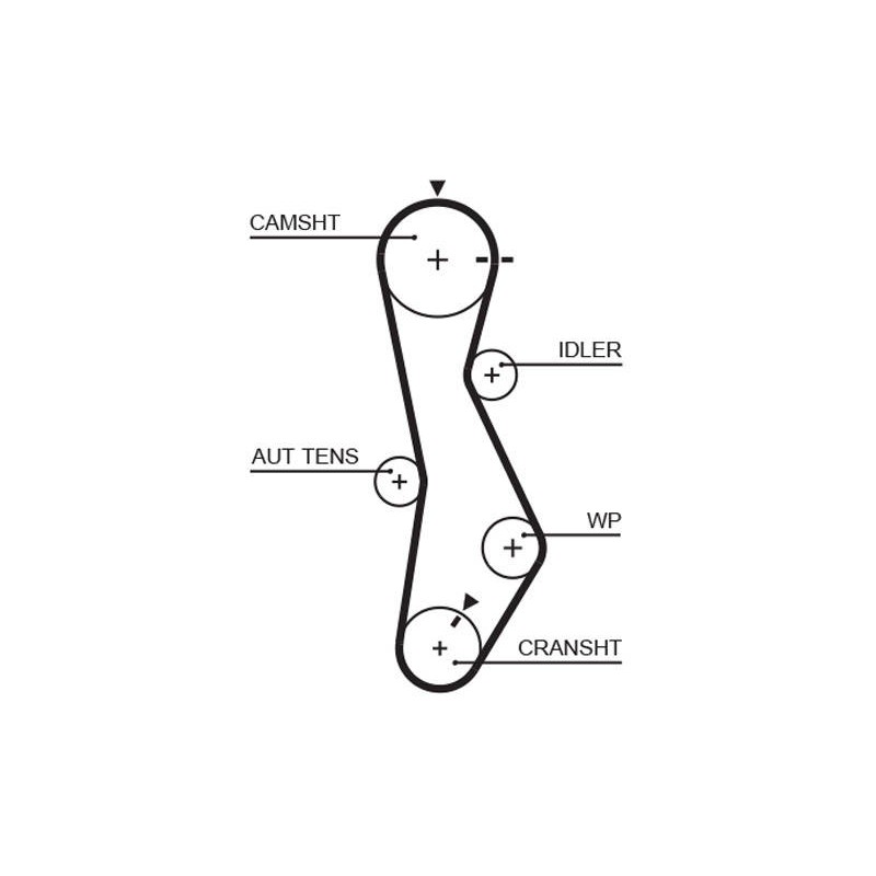 COURROIE DISTRIBUTION