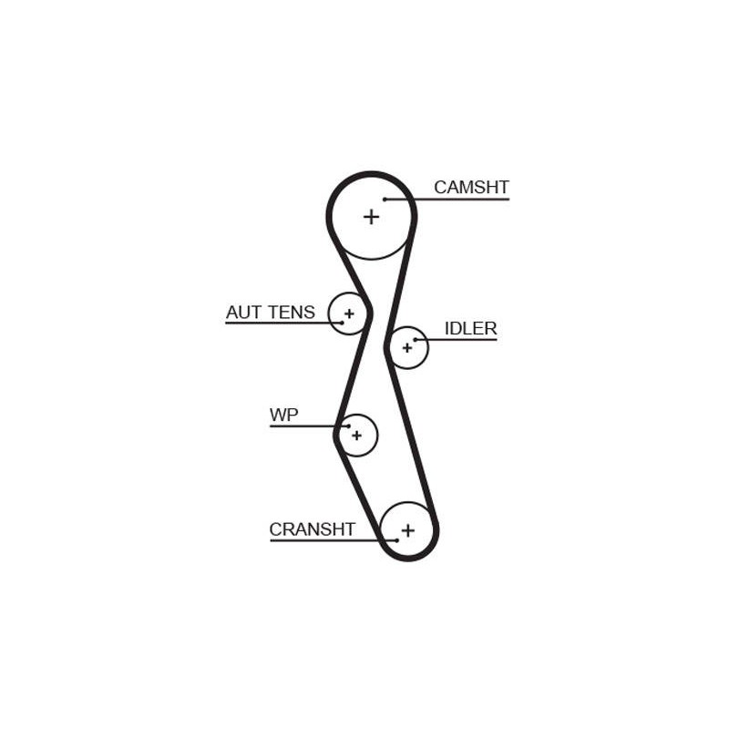 COURROIE DISTRIBUTION