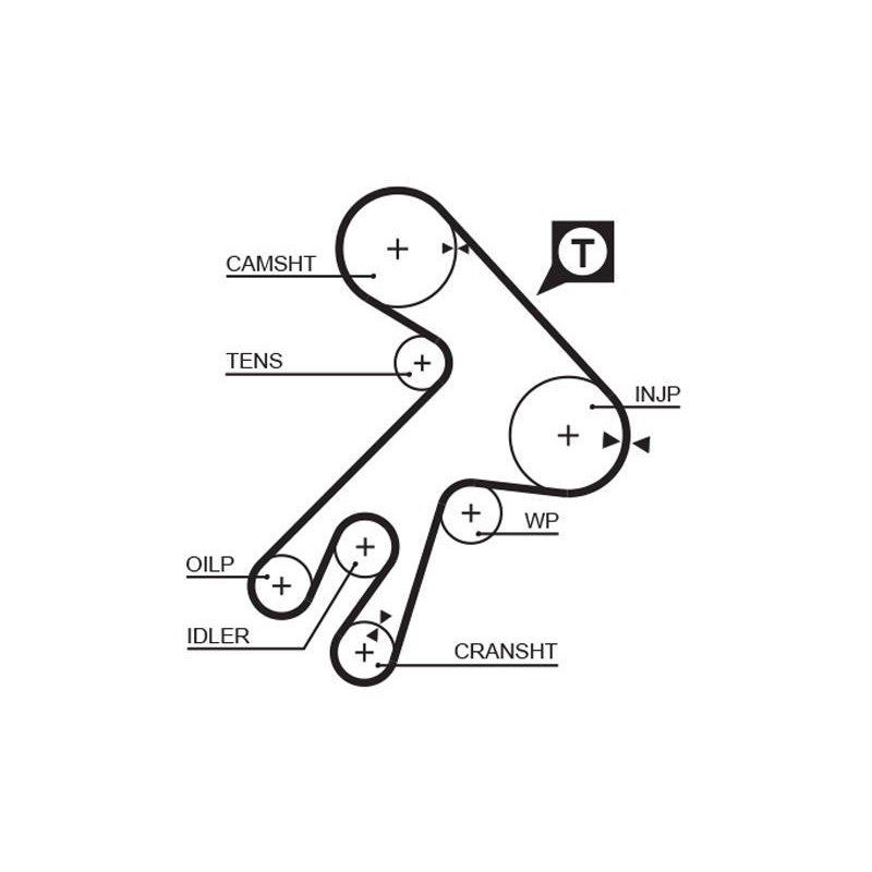 COURROIE DISTRIBUTION