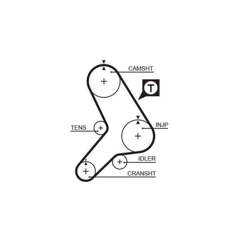 COURROIE DISTRIBUTION