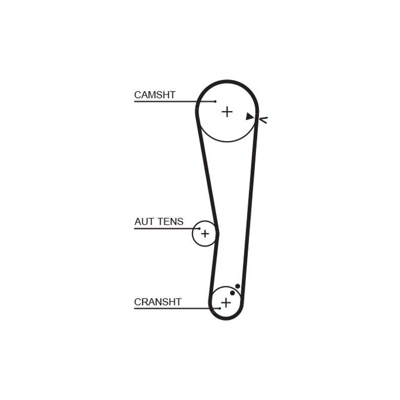 COURROIE DISTRIBUTION