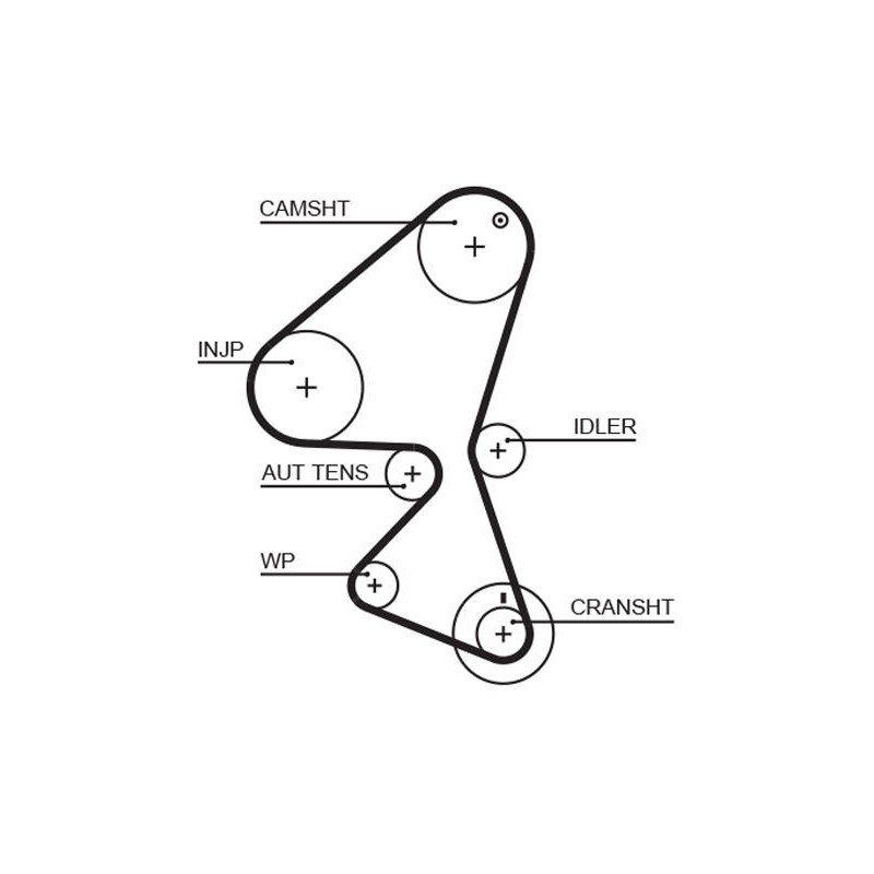 COURROIE DISTRIBUTION