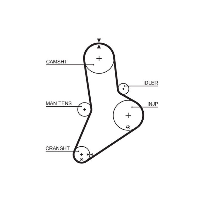 COURROIE DISTRIBUTION