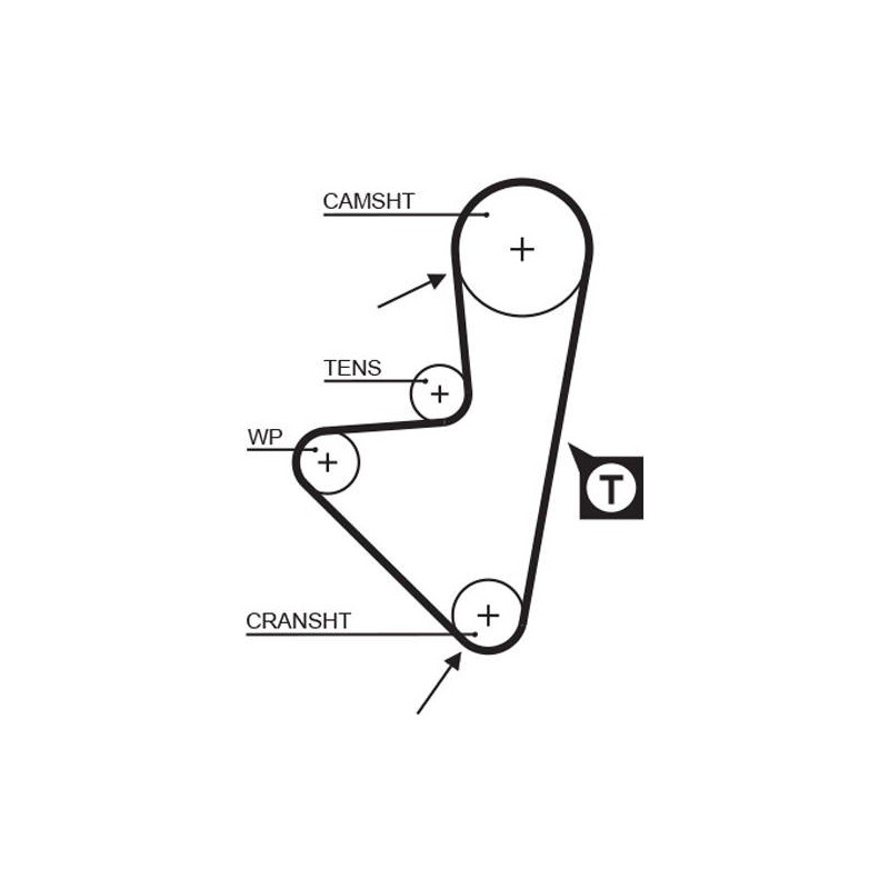 COURROIE DISTRIBUTION