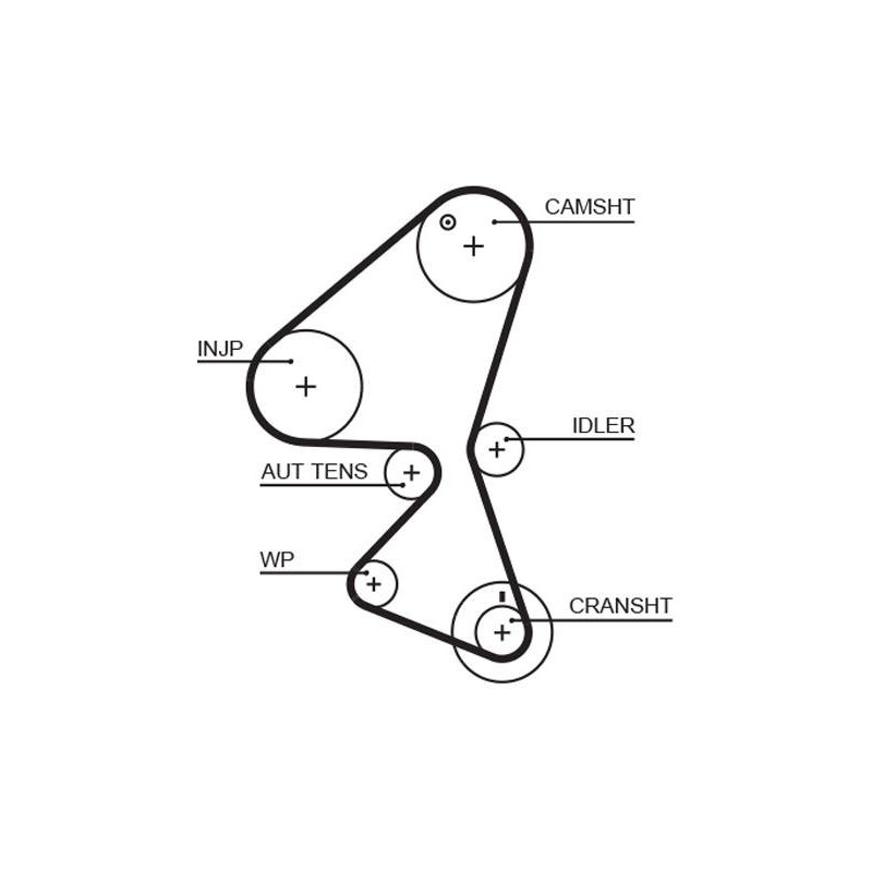 COURROIE DISTRIBUTION