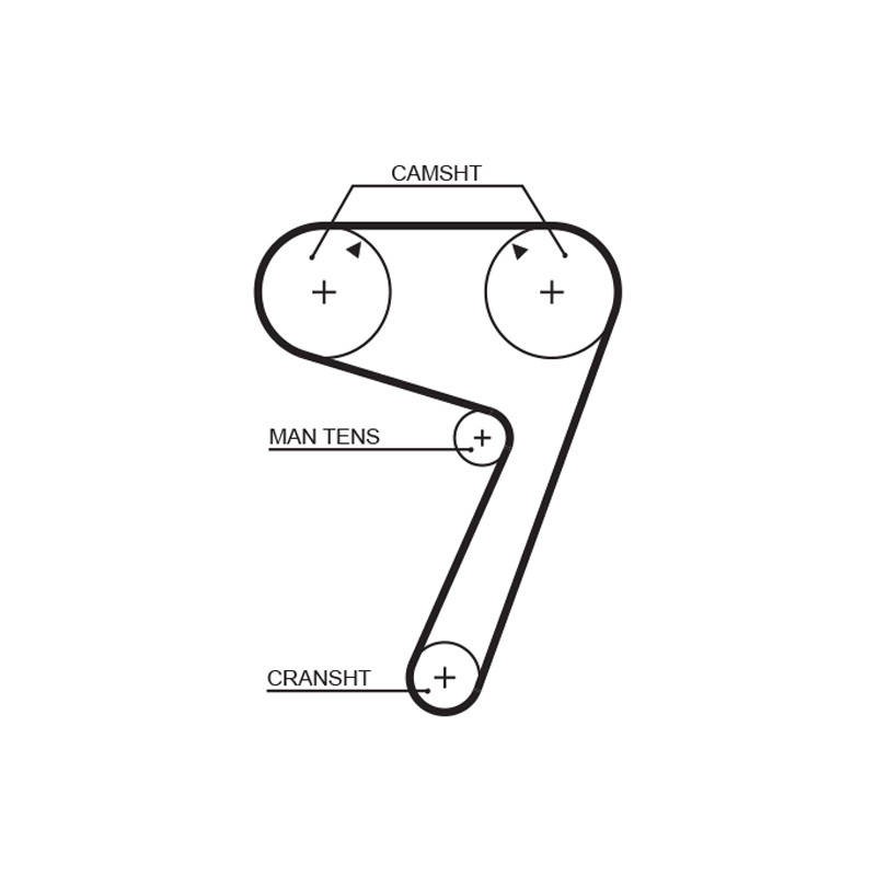 COURROIE DISTRIBUTION