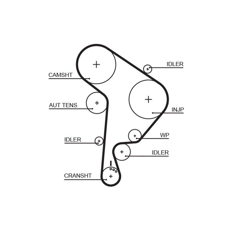 COURROIE DISTRIBUTION