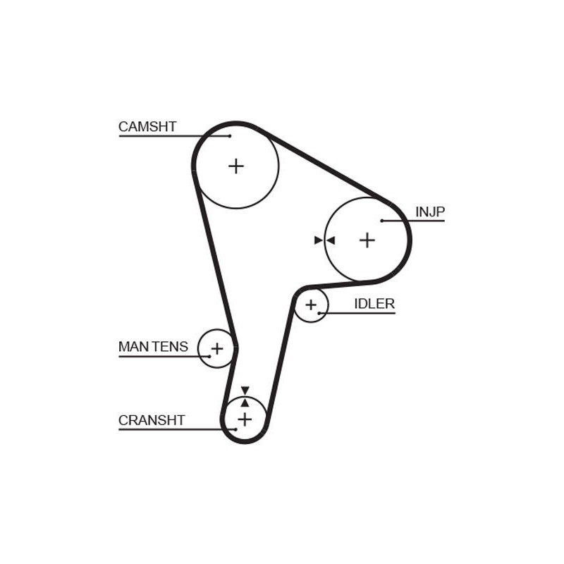 COURROIE DISTRIBUTION