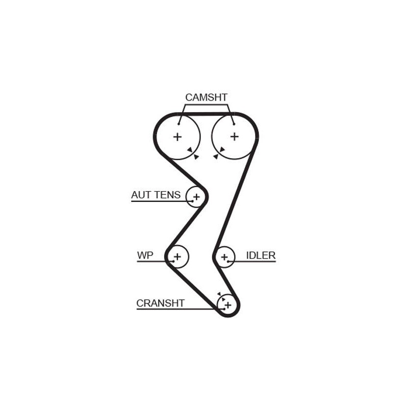 COURROIE DISTRIBUTION