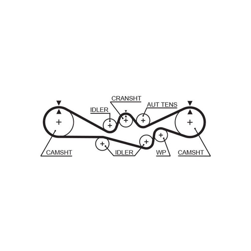 COURROIE DISTRIBUTION