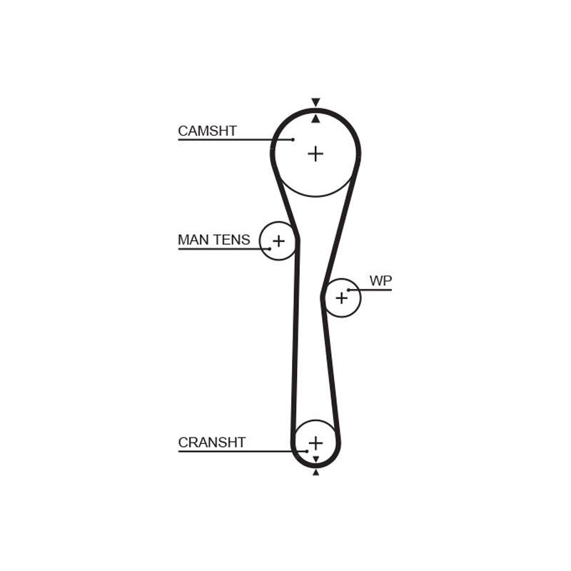 COURROIE DISTRIBUTION