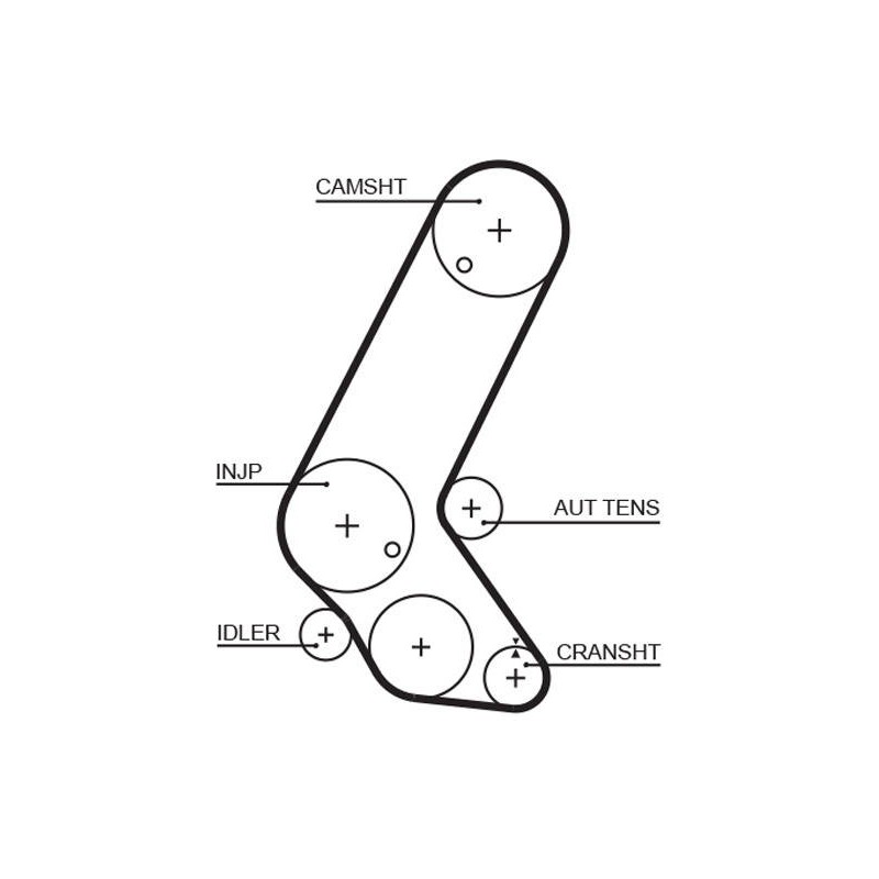 COURROIE DISTRIBUTION